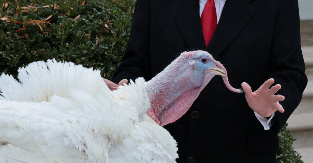 This Year, the Billionaires Give Thanks for Trump