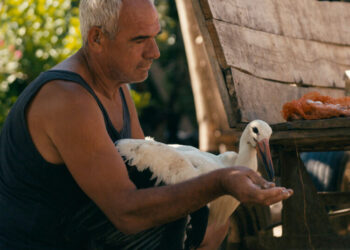 In ‘The Tale of Silyan,’ the Storks Are Watching
