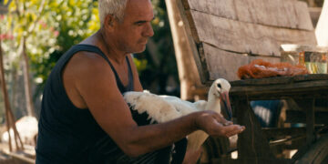 In ‘The Tale of Silyan,’ the Storks Are Watching
