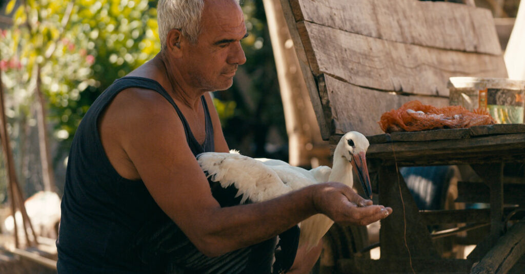 In ‘The Tale of Silyan,’ the Storks Are Watching