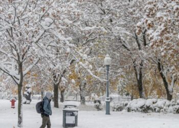 Snow Squalls and Heavy Winds Pummel Parts of Southern Ontario