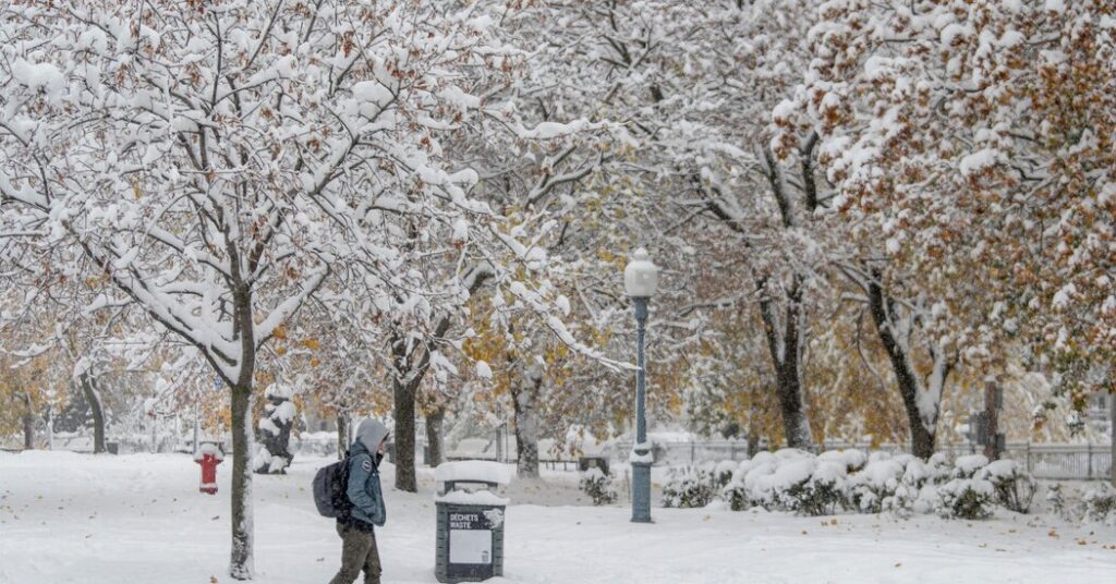 Snow Squalls and Heavy Winds Pummel Parts of Southern Ontario