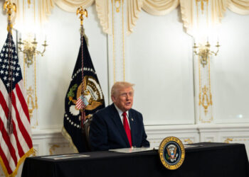 Trump Frees Fraudster Just Days Into Seven-Year Prison Sentence