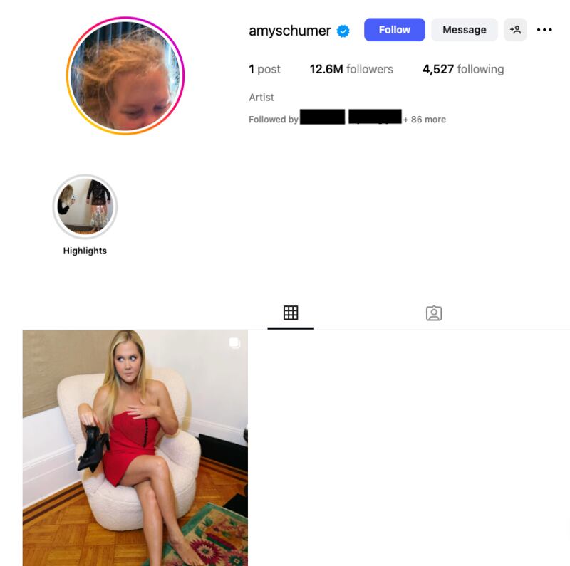 A screengrab of Schumer's Instagram page following her full account wipe.