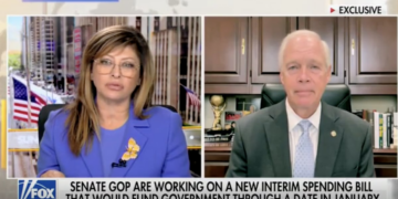 MAGA Senator Says He ‘Hopes’ Planes Don’t Start Falling Out of the Sky