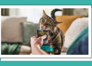 Scouted: This Pet Food Brand Focuses on Recipes Designed Specifically for Cats