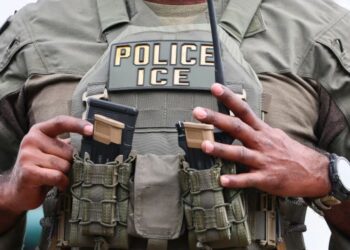 ICE Goons Detain Schoolkid During Lunch Break