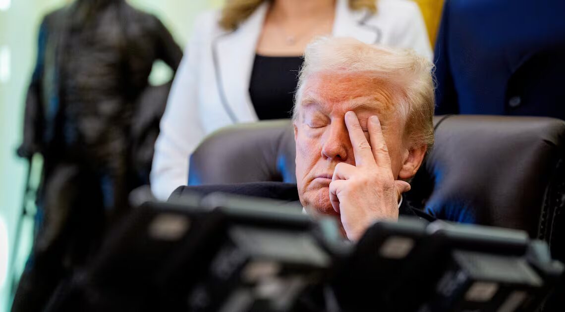 ‘Confused’ Trump, 79, Compliments GOP Rep on Non-Existent Fox Appearance