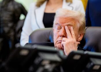 ‘Confused’ Trump, 79, Compliments GOP Rep on Non-Existent Fox Appearance