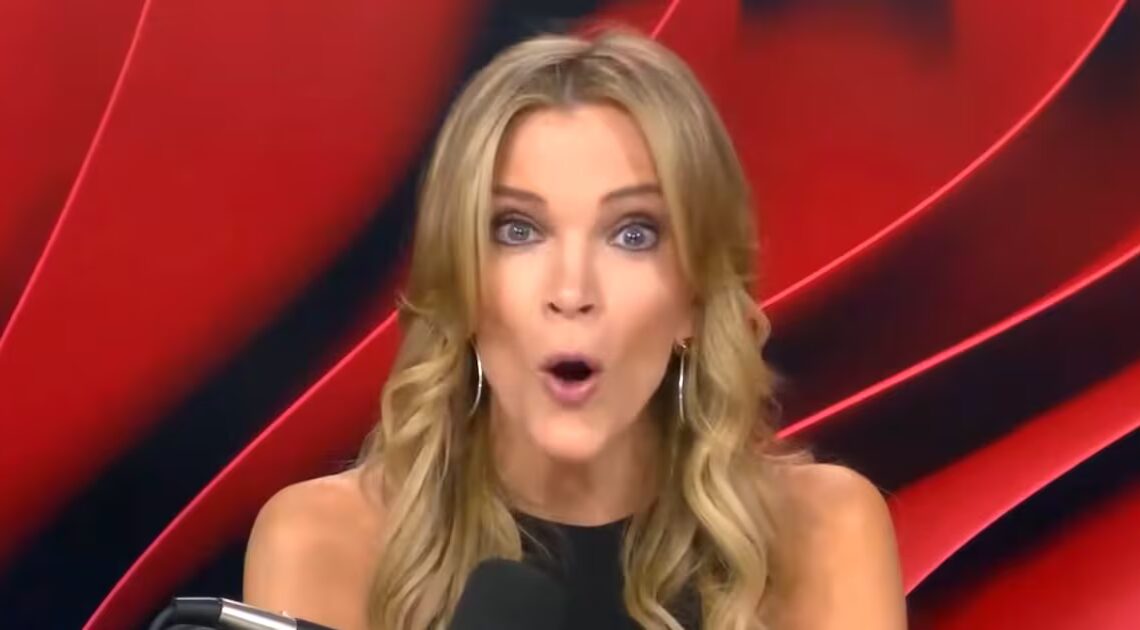 Megyn Kelly Admits Epstein Emails ‘Sound Bad’ for Trump