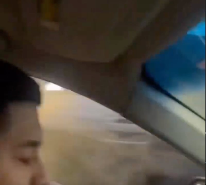 Federal agents could be seen firing pepper-spray into the car on November 8, 2025.