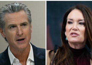 Newsom Exposes MAGA Minion for ‘Accidentally Telling the Truth’