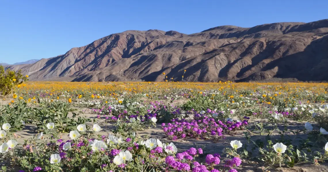 After visiting all 50 US states, these are the 7 state parks I think all travelers should experience at least once