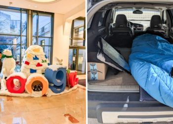 I accepted a job at Google, but couldn’t afford Bay Area rent. I lived in my car for 3 months to make it work.