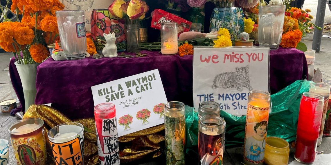 San Francisco’s Mission District is mourning an iconic bodega cat after it was run over by a Waymo