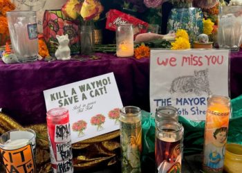 San Francisco’s Mission District is mourning an iconic bodega cat after it was run over by a Waymo