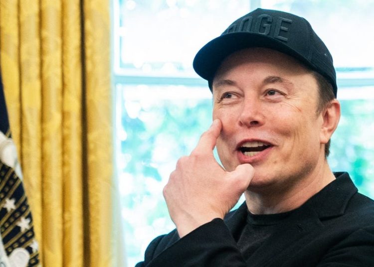 Elon Musk backs Cuomo against Zohran Mamdani in NYC mayoral race