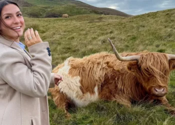 I visited Scotland for the first time. These 7 mistakes made me feel like a total tourist.