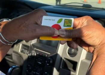 I went from making $200,000 a year to using SNAP. Here’s what I wish people knew about government assistance.