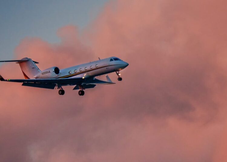 Private jets are halted at 12 major airports as air traffic controllers continue to call out amid the shutdown