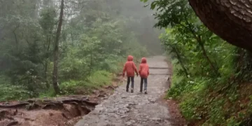 My twins have done everything together since birth. Now that they’re older, I’m helping them recognize their individuality.