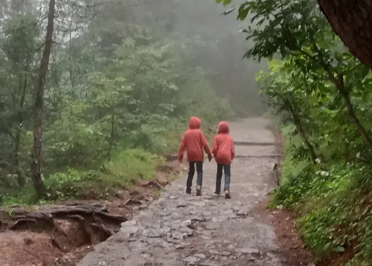 My twins have done everything together since birth. Now that they’re older, I’m helping them recognize their individuality.