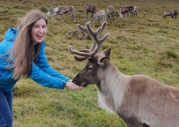 I was born and raised in Scotland. First-time visitors to the Scottish Highlands always make these 5 mistakes.