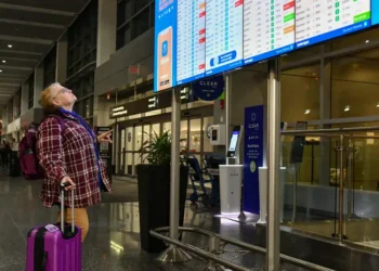 Don’t panic if you get caught in Thanksgiving travel chaos