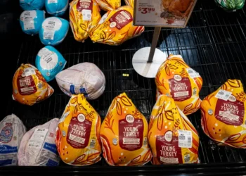 Whatever the forecasts say, shoppers are treating this Thanksgiving like a budget holiday