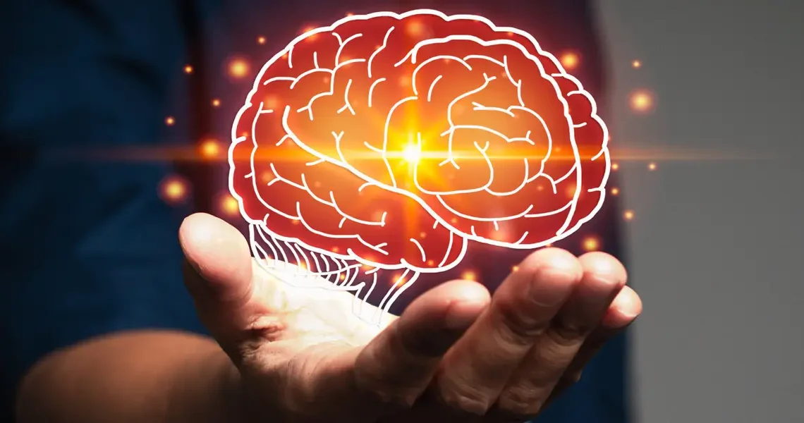 Five newly discovered life stages of your brain include a prolonged adolescence from age 9 to 32