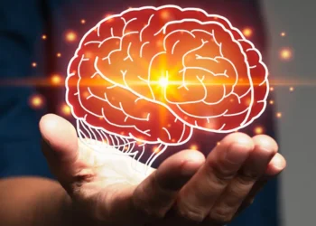 Five newly discovered life stages of your brain include a prolonged adolescence from age 9 to 32