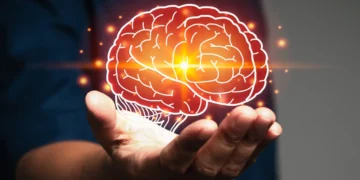 Five newly discovered life stages of your brain include a prolonged adolescence from age 9 to 32