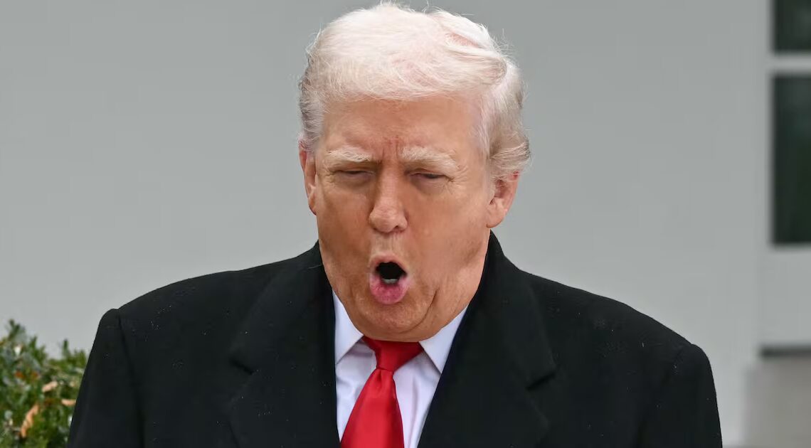 World Leader Lashes ‘Regrettable’ Trump Post After G20 Snub