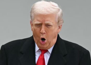 World Leader Lashes ‘Regrettable’ Trump Post After G20 Snub