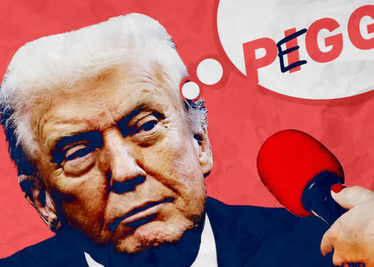 MAGA Cooks Up Wild Spin of Trump’s ‘Piggy’ Insult