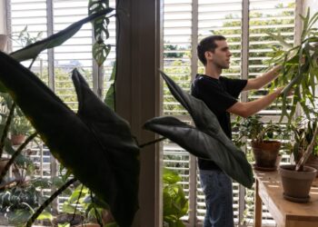 Israelis are moving abroad in record numbers due to fear and discontent