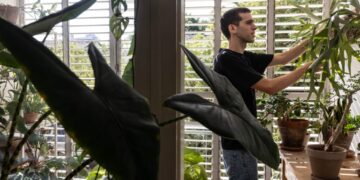 Israelis are moving abroad in record numbers due to fear and discontent