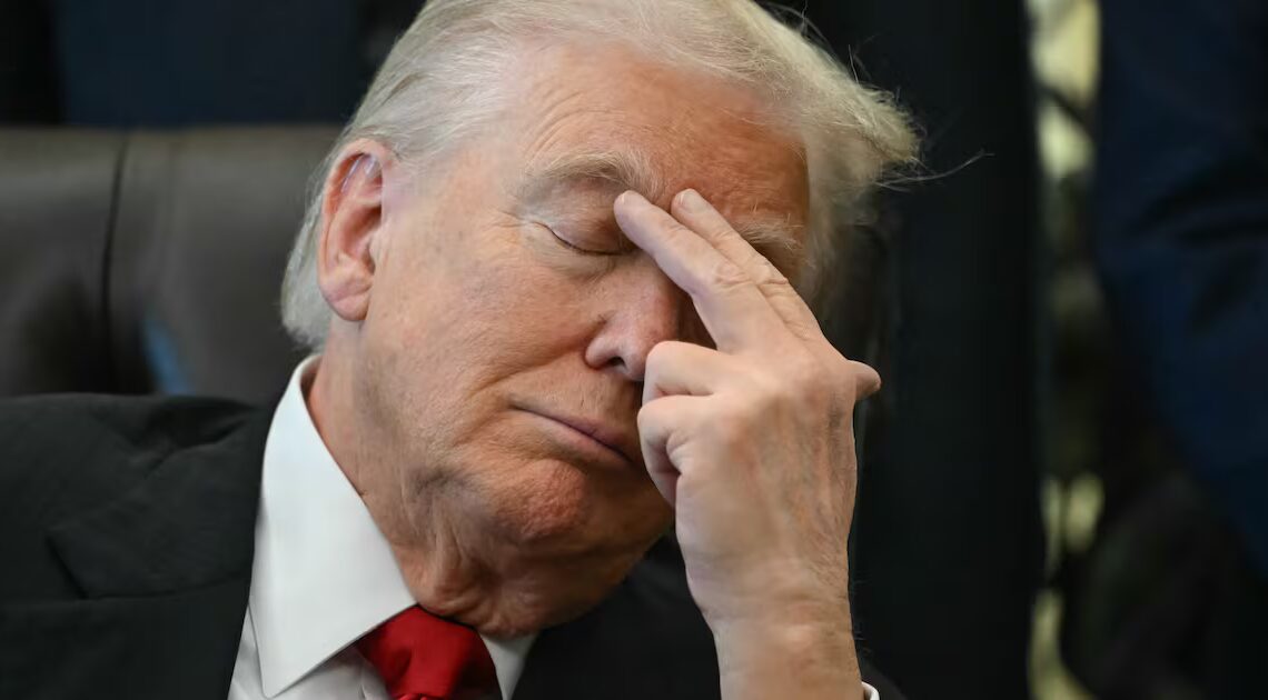 Fox Host Laura Ingraham Skewers Trump’s Plans for Next Renovation Target