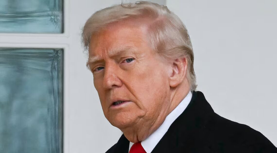 Confused Trump, 79, May Have Accidentally Pardoned Voter Fraud Suspect