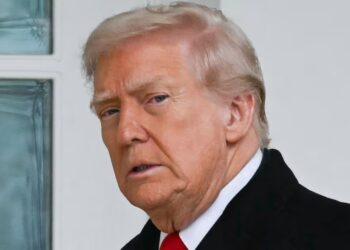 Confused Trump, 79, May Have Accidentally Pardoned Voter Fraud Suspect