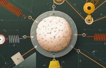 How Genes Have Harnessed Physics to Grow Living Things