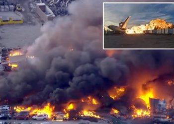 A beloved shop cat named Bob is feared dead after UPS plane’s fireball crash: ‘He was a good cat’