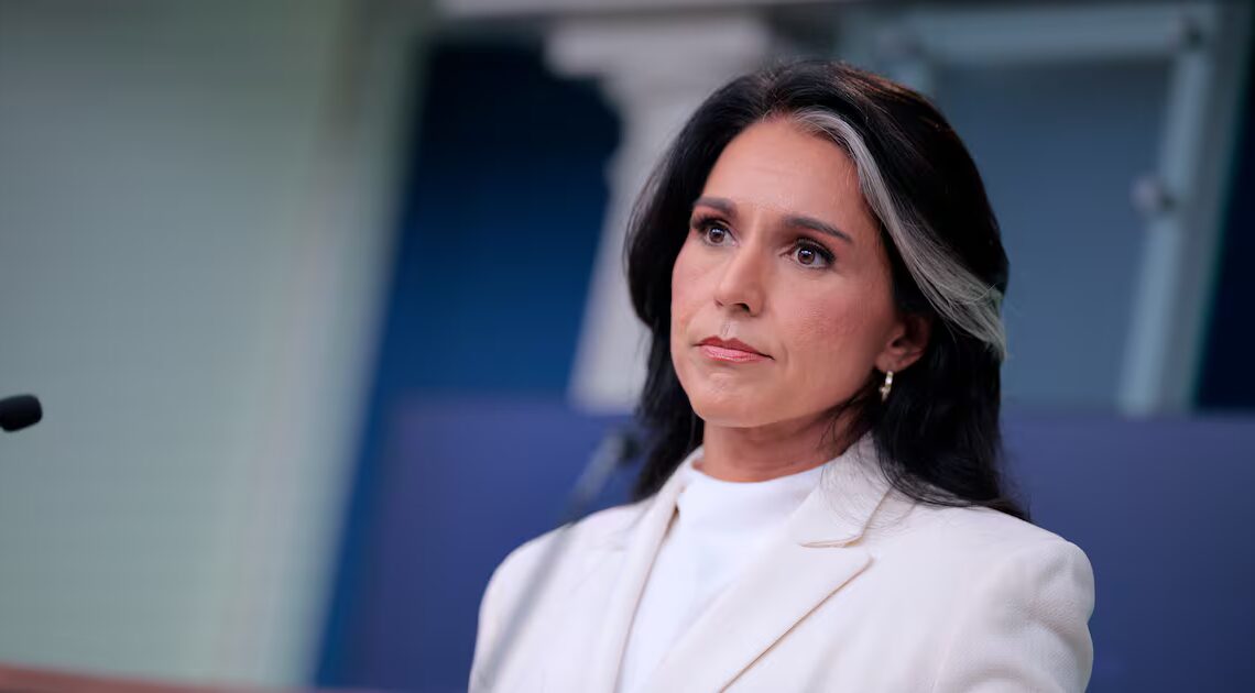 Gabbard Goons’ Chaotic Hunt for Secret CIA Files Exposed