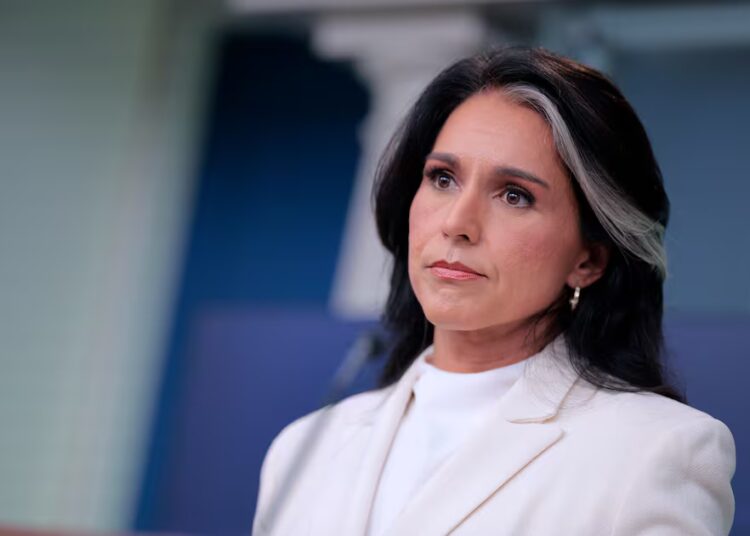 Gabbard Goons’ Chaotic Hunt for Secret CIA Files Exposed