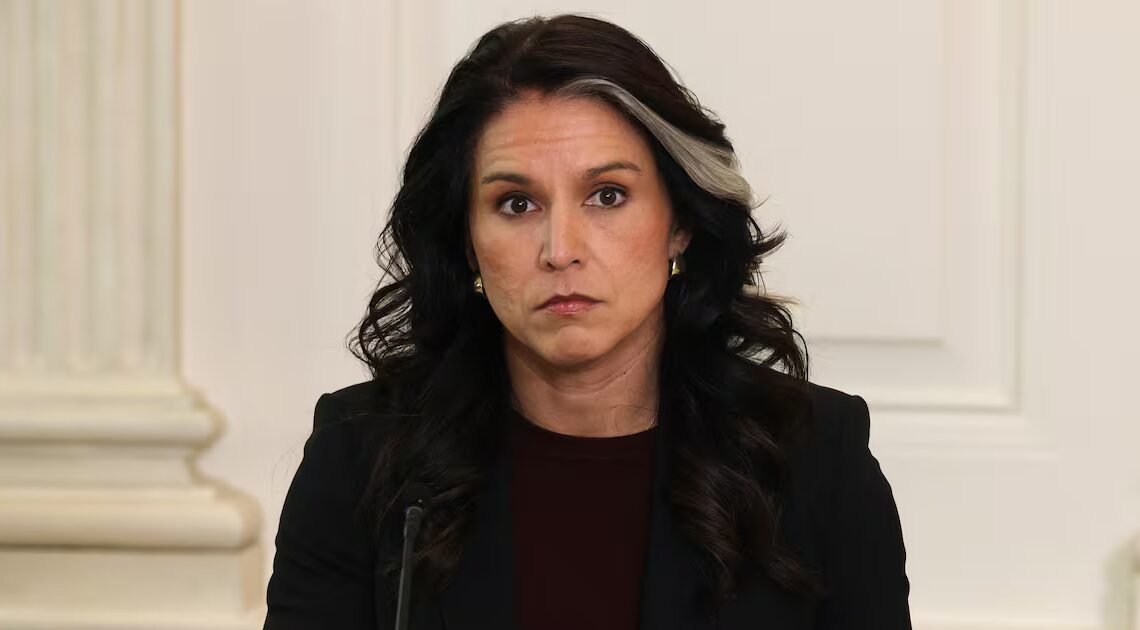 Innocent Women Smeared as ‘Bomber’ after Gabbard Goon’s DIY Probe