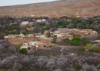 Afghanistan hit by deadly magnitude 6.3 earthquake