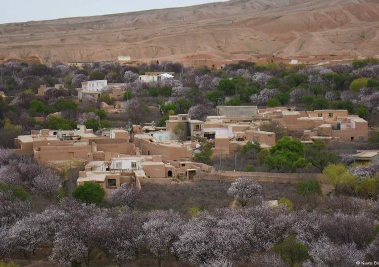 Afghanistan hit by deadly magnitude 6.3 earthquake