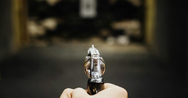 Alleged Intruder Kicks in Apartment Door, Dies After Occupant Opens Fire