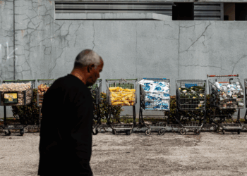 America’s Hunger Crisis Could Be What Ends the Shutdown