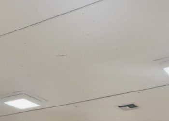 Anger Over ICE Raids Is Driving Some Latino Voters to the Polls